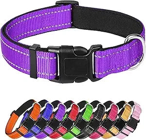 Purple Dog Collar, Reflective Pet Collar with Buckle Adjustable Safety Nylon Collars for Small Medium Large Dogs, XS