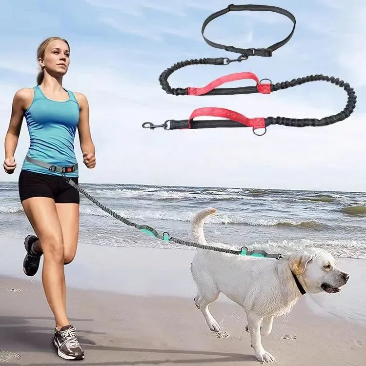 Hand Free Dog Leash for Pet Walking Dog Accessories Running Jogging Adjustable Dog leash Waist Belt Chest Strap Traction Rope