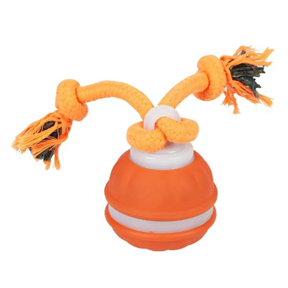Interactive Dog Toys USB Rechargeable Squeaky Dog Toy with Rope Automatic Dog Ball for Medium Small Dogs Puppy