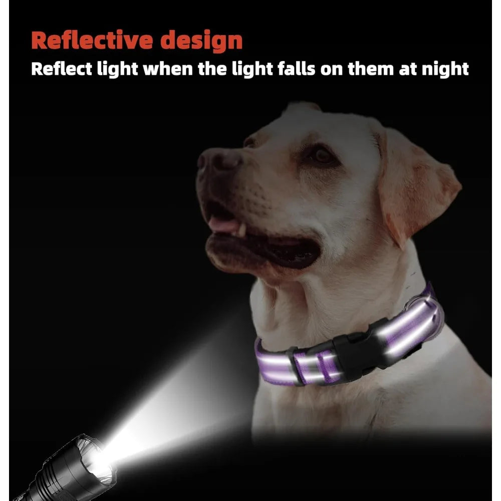 Purple Dog Collar, Reflective Pet Collar with Buckle Adjustable Safety Nylon Collars for Small Medium Large Dogs, XS
