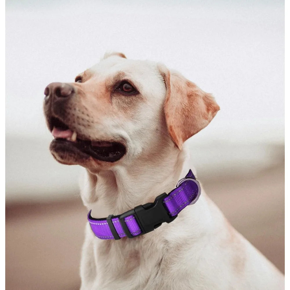 Purple Dog Collar, Reflective Pet Collar with Buckle Adjustable Safety Nylon Collars for Small Medium Large Dogs, XS