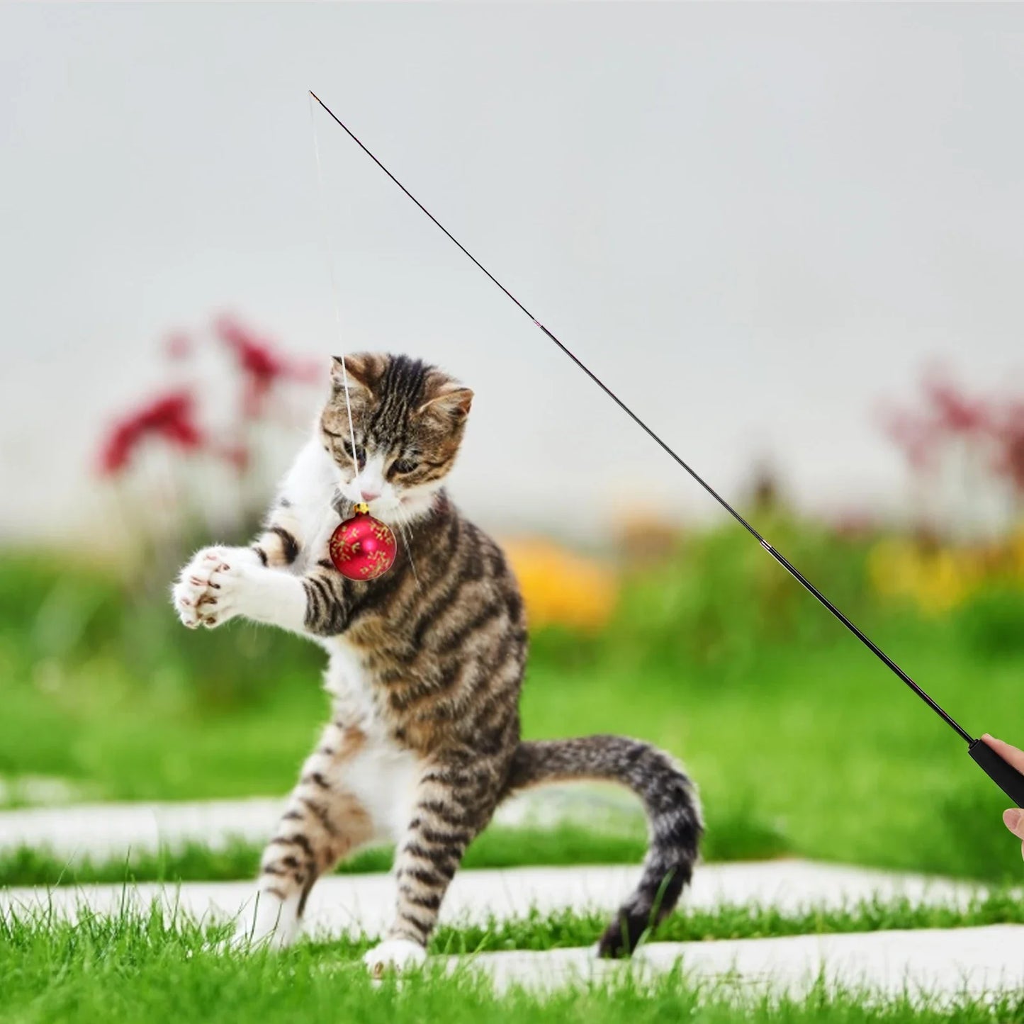 Cat Teaser Wands Three-section Telescopic Fishing Pole Wand Kitten Funny Catcher Teaser Stick Rod Interactive Stick Teaser Toys