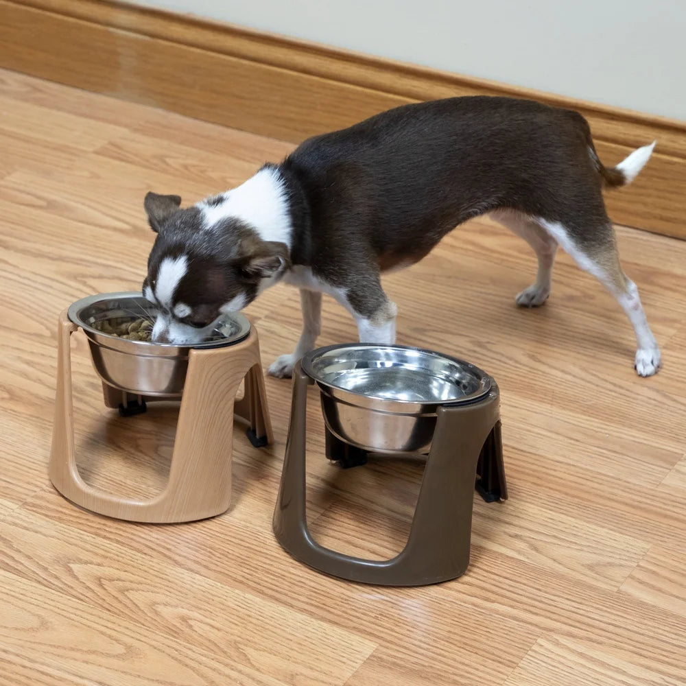 Stainless Steel Raised Cat Bowls with Stands Dishwasher Safe Elevated Feeding Dishes Cats Modern Design Easy Clean 8oz Capacity